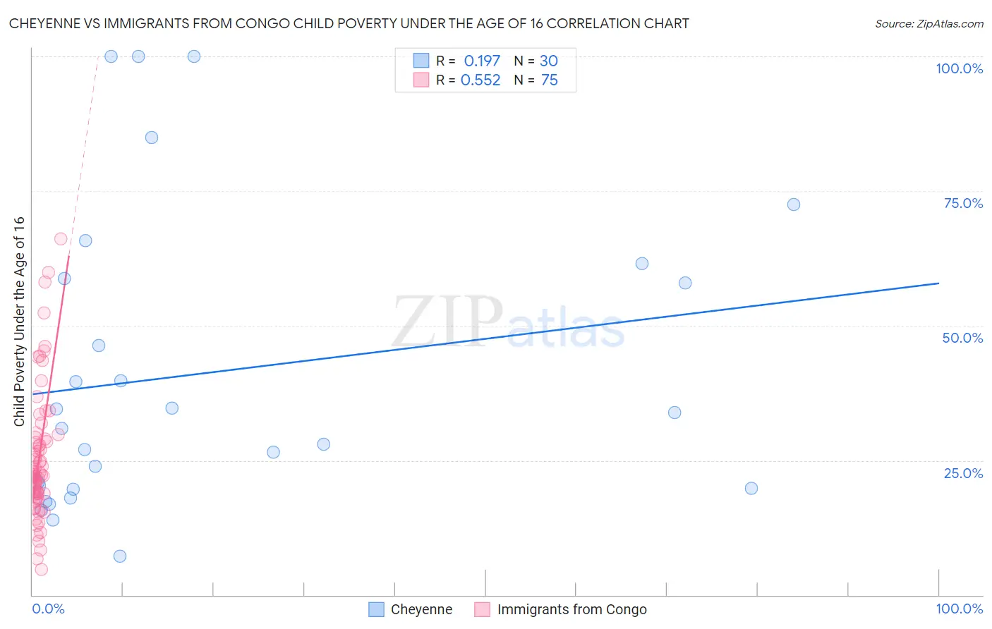 Cheyenne vs Immigrants from Congo Child Poverty Under the Age of 16