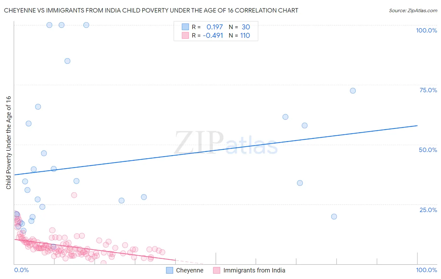 Cheyenne vs Immigrants from India Child Poverty Under the Age of 16