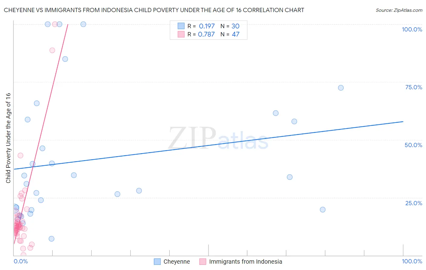 Cheyenne vs Immigrants from Indonesia Child Poverty Under the Age of 16