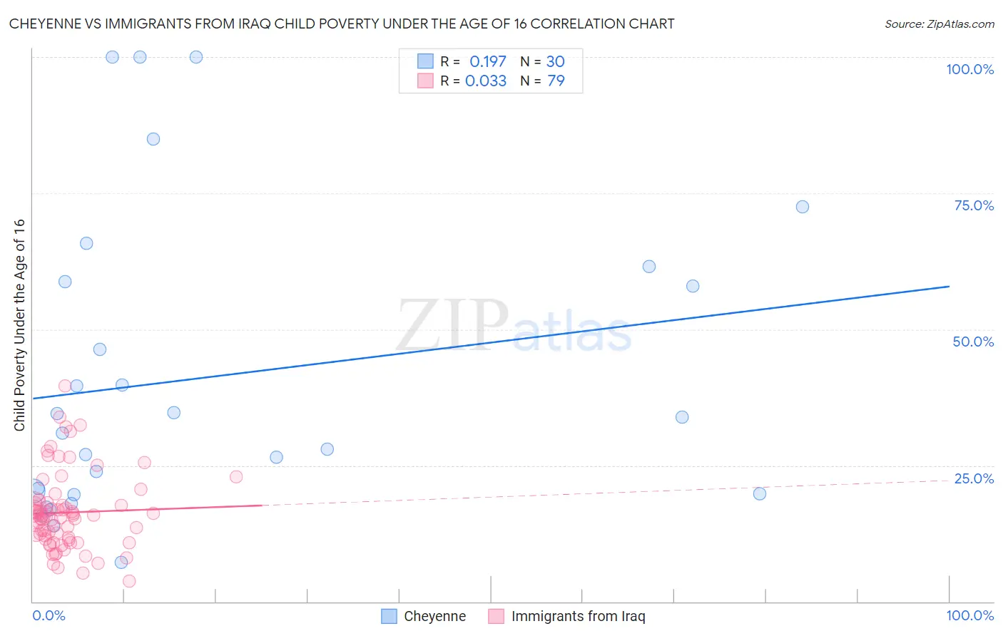 Cheyenne vs Immigrants from Iraq Child Poverty Under the Age of 16