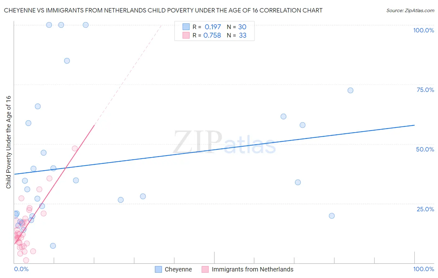 Cheyenne vs Immigrants from Netherlands Child Poverty Under the Age of 16