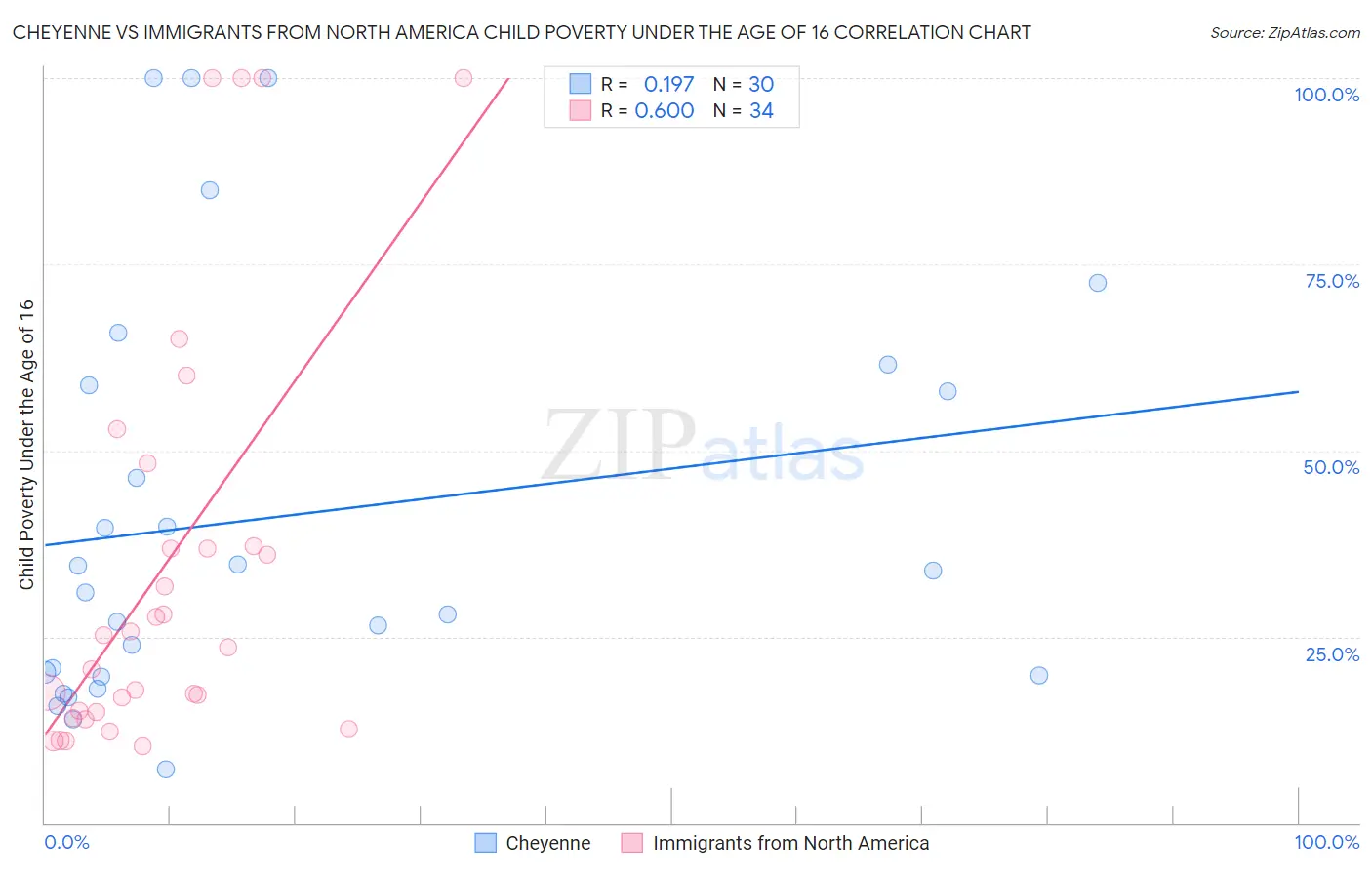 Cheyenne vs Immigrants from North America Child Poverty Under the Age of 16