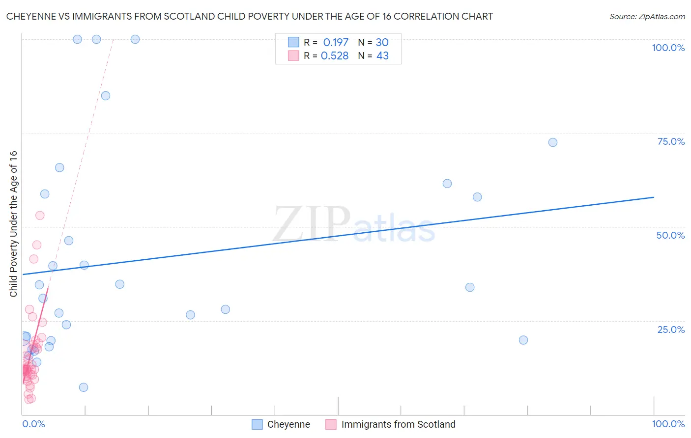 Cheyenne vs Immigrants from Scotland Child Poverty Under the Age of 16