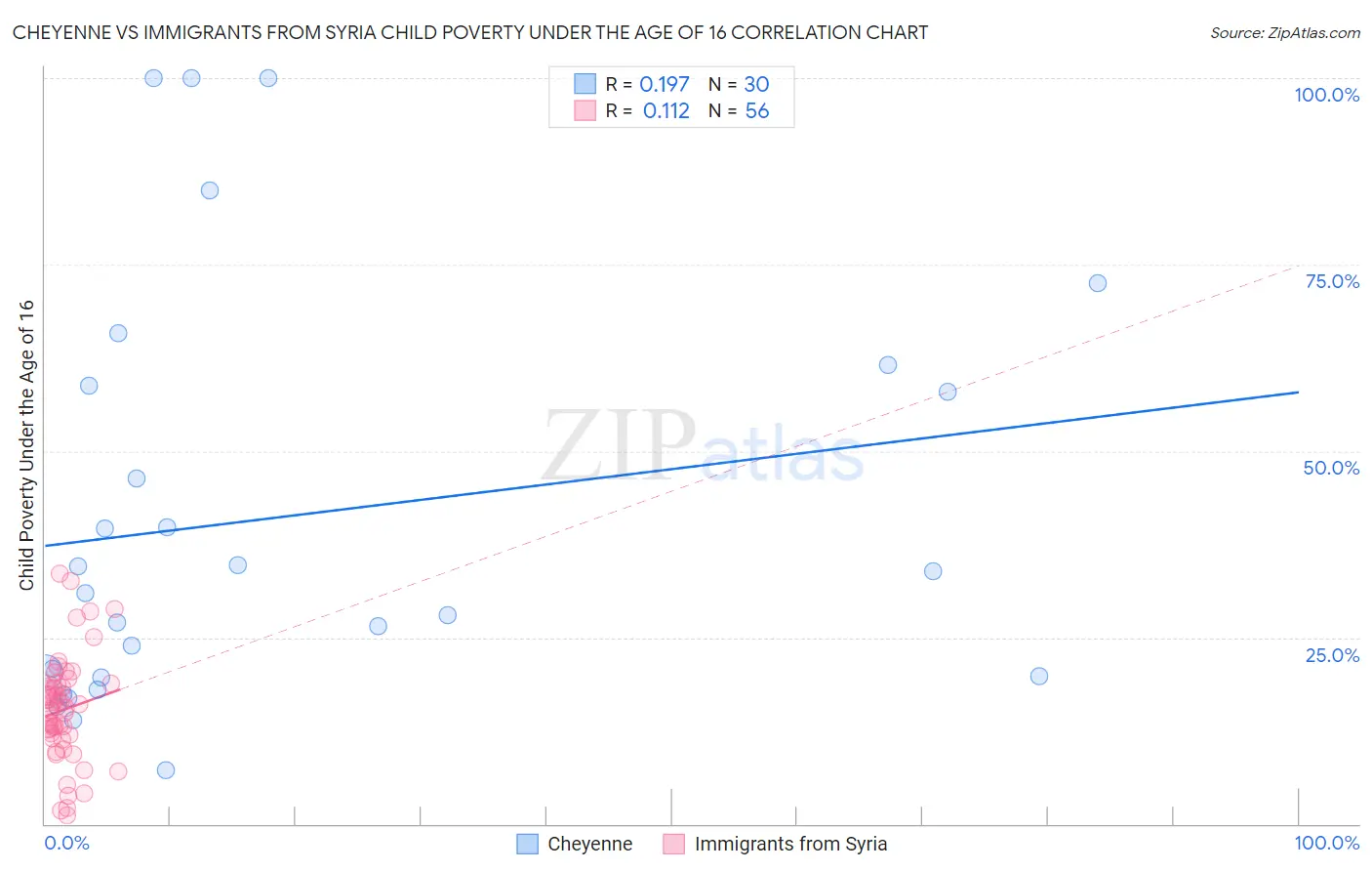 Cheyenne vs Immigrants from Syria Child Poverty Under the Age of 16