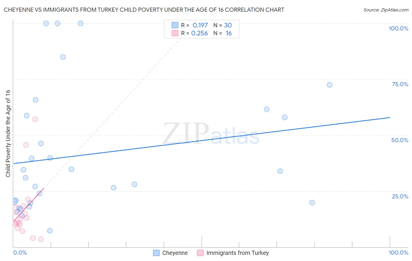 Cheyenne vs Immigrants from Turkey Child Poverty Under the Age of 16