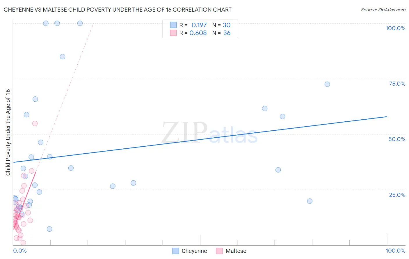 Cheyenne vs Maltese Child Poverty Under the Age of 16