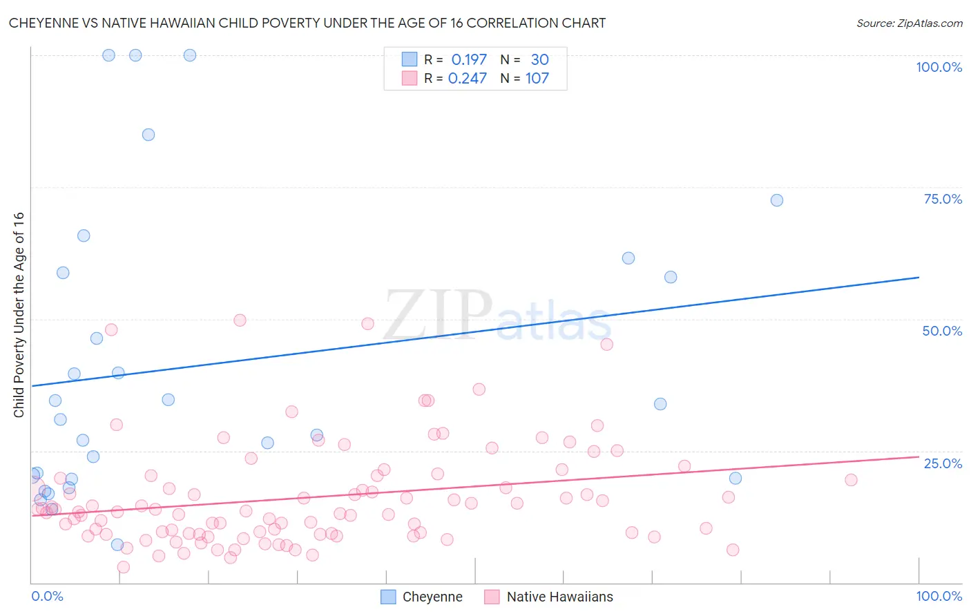 Cheyenne vs Native Hawaiian Child Poverty Under the Age of 16