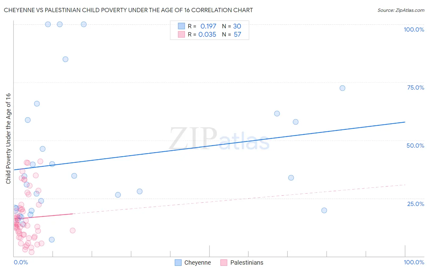 Cheyenne vs Palestinian Child Poverty Under the Age of 16