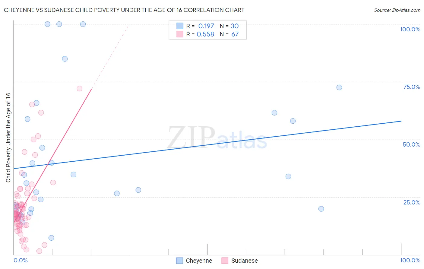 Cheyenne vs Sudanese Child Poverty Under the Age of 16