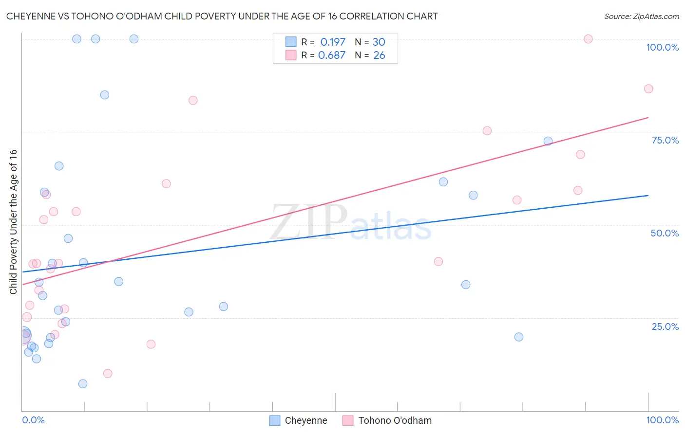 Cheyenne vs Tohono O'odham Child Poverty Under the Age of 16
