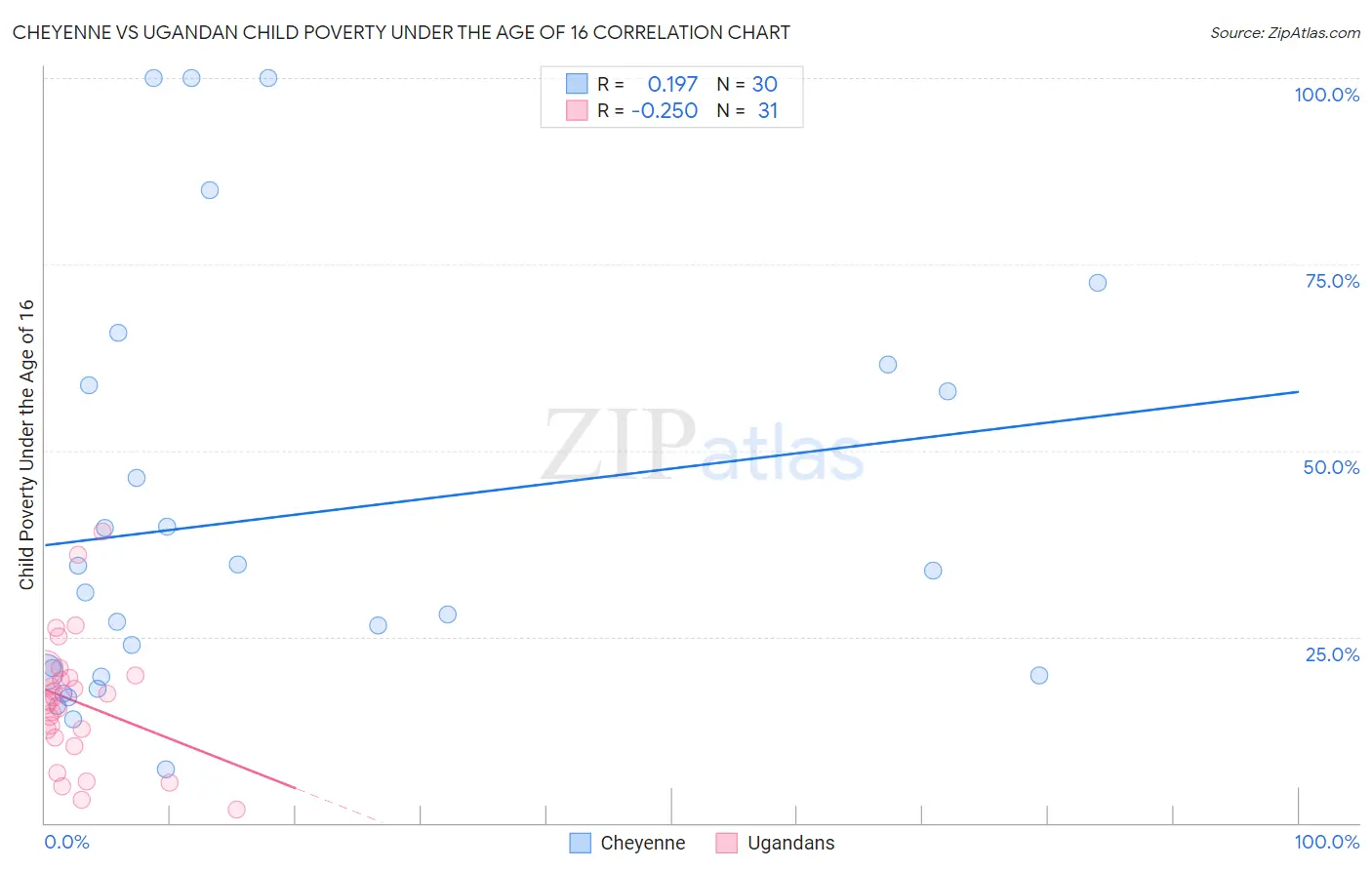 Cheyenne vs Ugandan Child Poverty Under the Age of 16