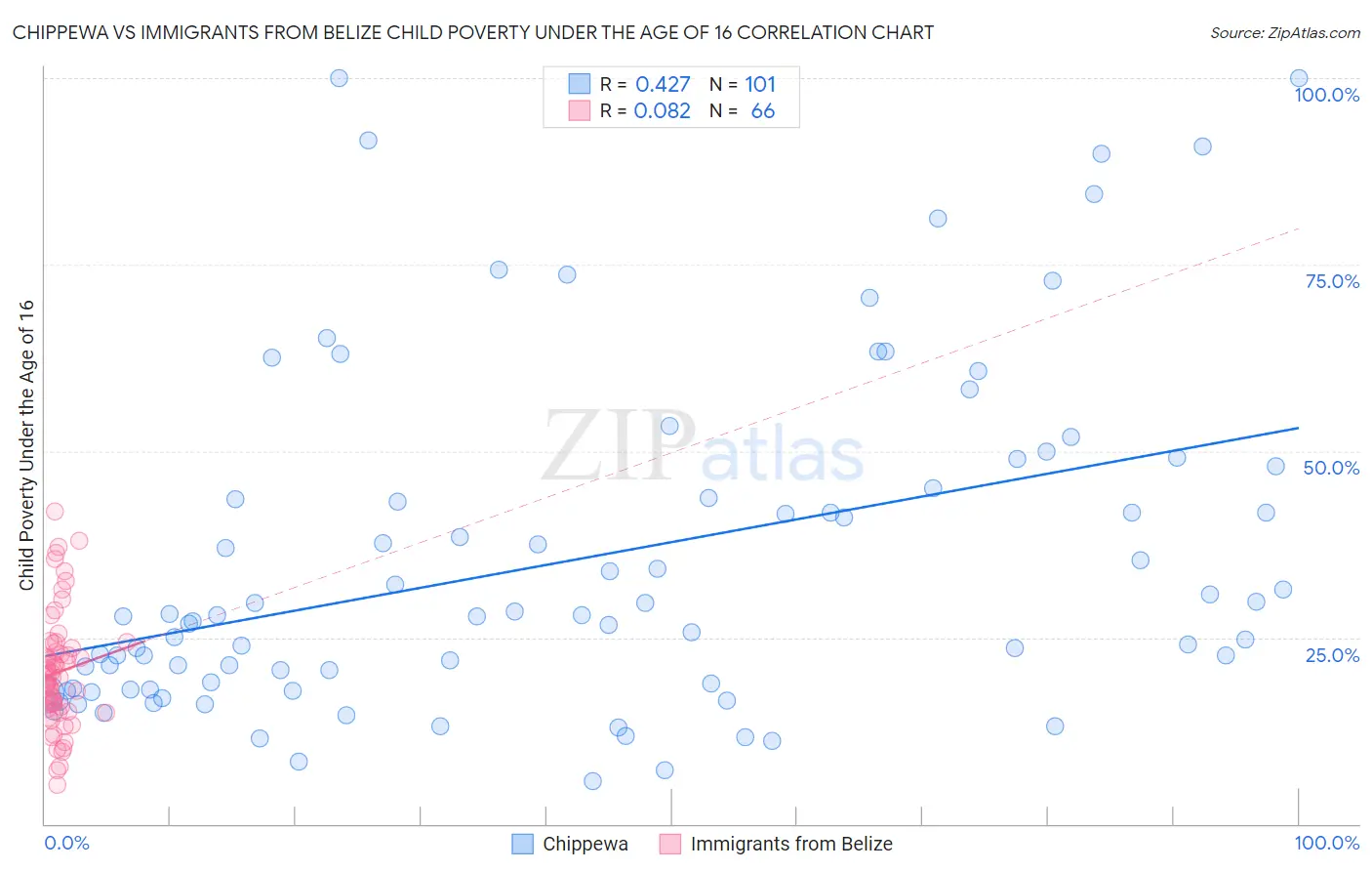Chippewa vs Immigrants from Belize Child Poverty Under the Age of 16
