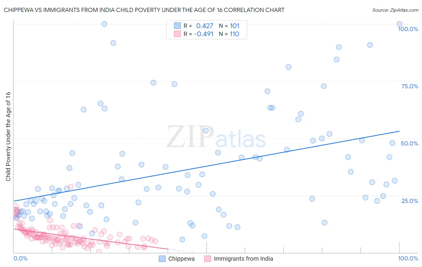 Chippewa vs Immigrants from India Child Poverty Under the Age of 16