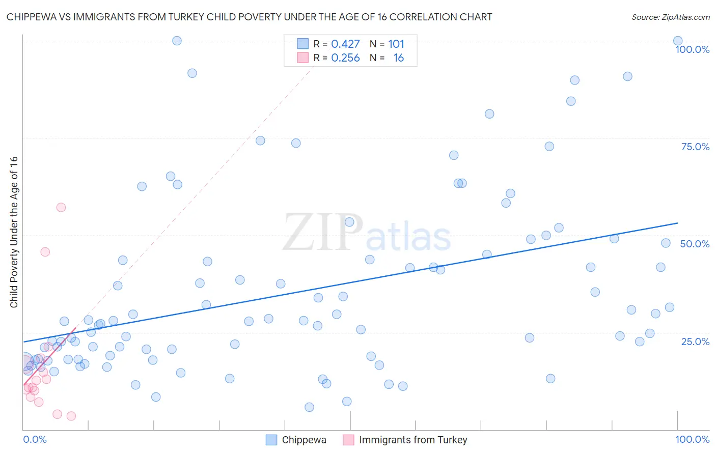 Chippewa vs Immigrants from Turkey Child Poverty Under the Age of 16