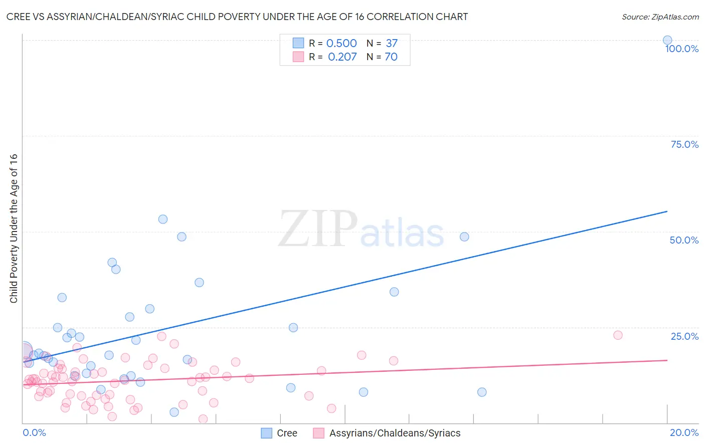 Cree vs Assyrian/Chaldean/Syriac Child Poverty Under the Age of 16