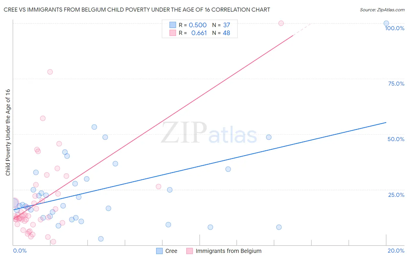 Cree vs Immigrants from Belgium Child Poverty Under the Age of 16