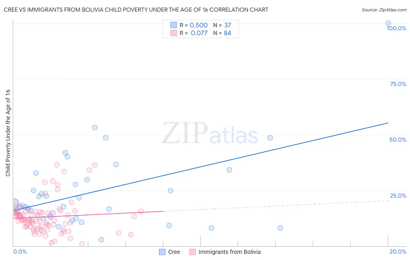 Cree vs Immigrants from Bolivia Child Poverty Under the Age of 16