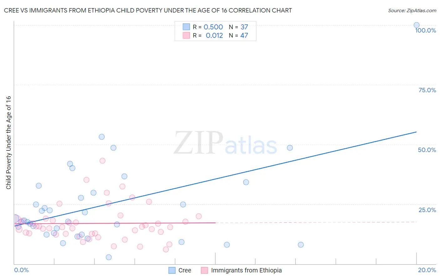 Cree vs Immigrants from Ethiopia Child Poverty Under the Age of 16