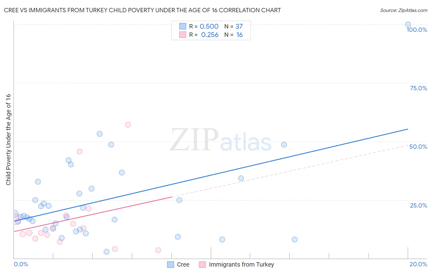 Cree vs Immigrants from Turkey Child Poverty Under the Age of 16