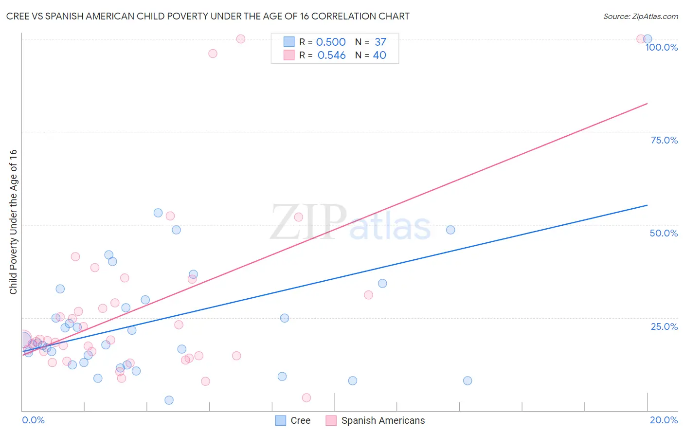 Cree vs Spanish American Child Poverty Under the Age of 16