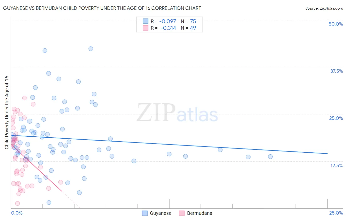 Guyanese vs Bermudan Child Poverty Under the Age of 16