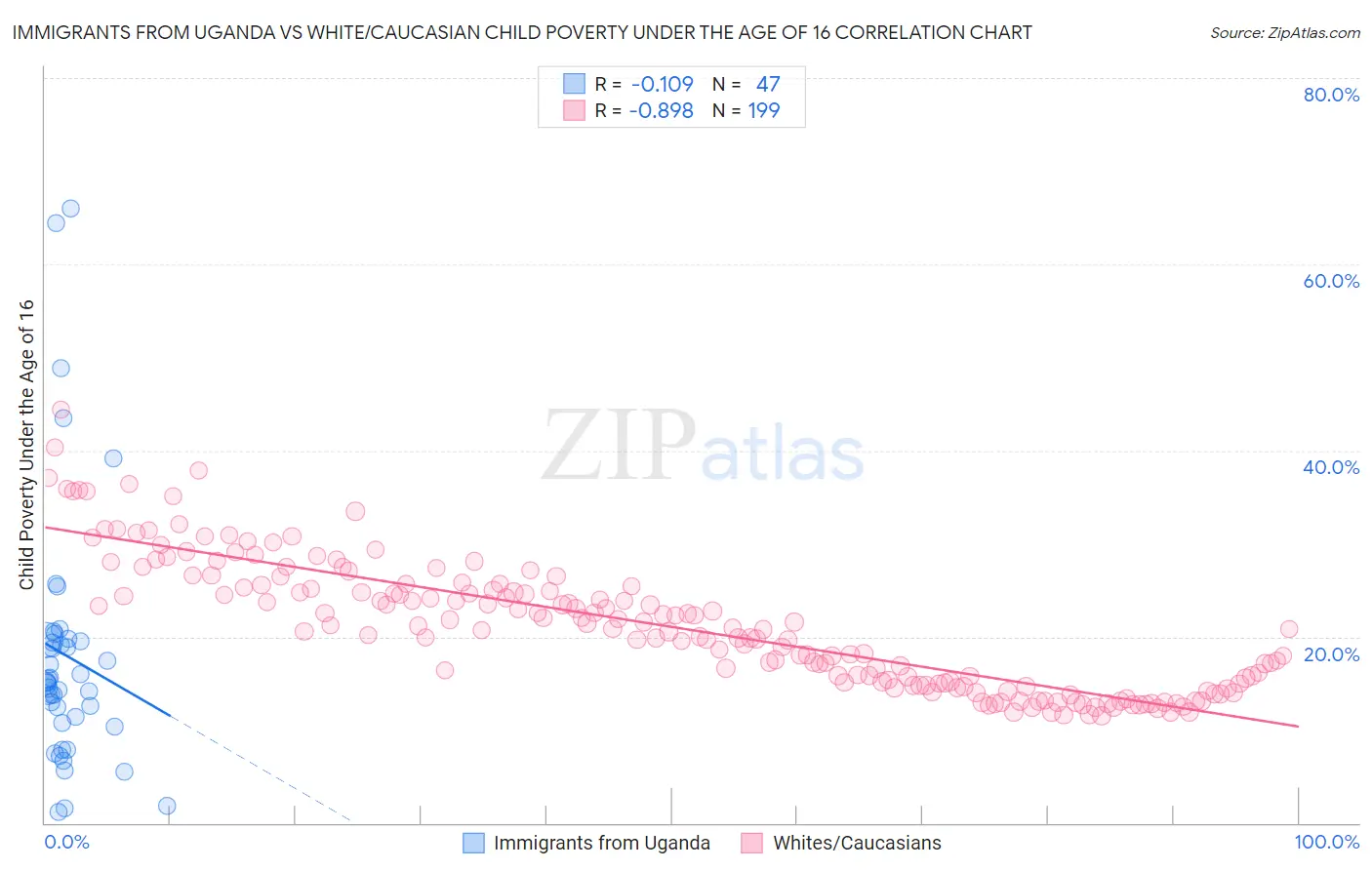 Immigrants from Uganda vs White/Caucasian Child Poverty Under the Age of 16