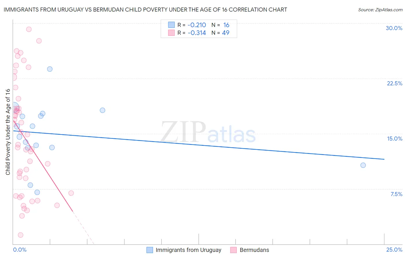 Immigrants from Uruguay vs Bermudan Child Poverty Under the Age of 16