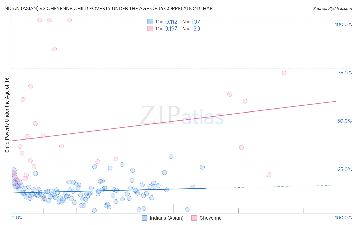 Indian (Asian) vs Cheyenne Child Poverty Under the Age of 16