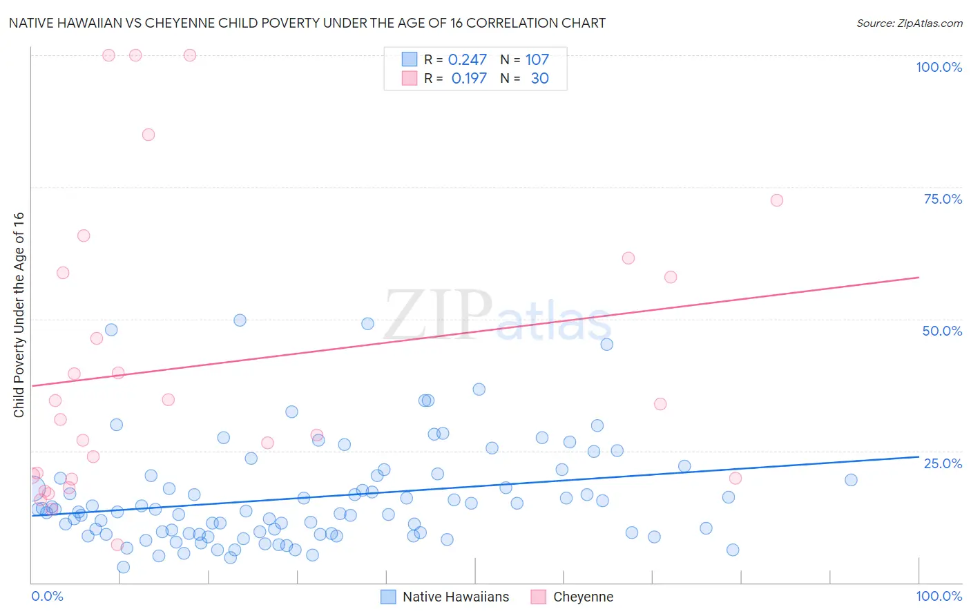Native Hawaiian vs Cheyenne Child Poverty Under the Age of 16