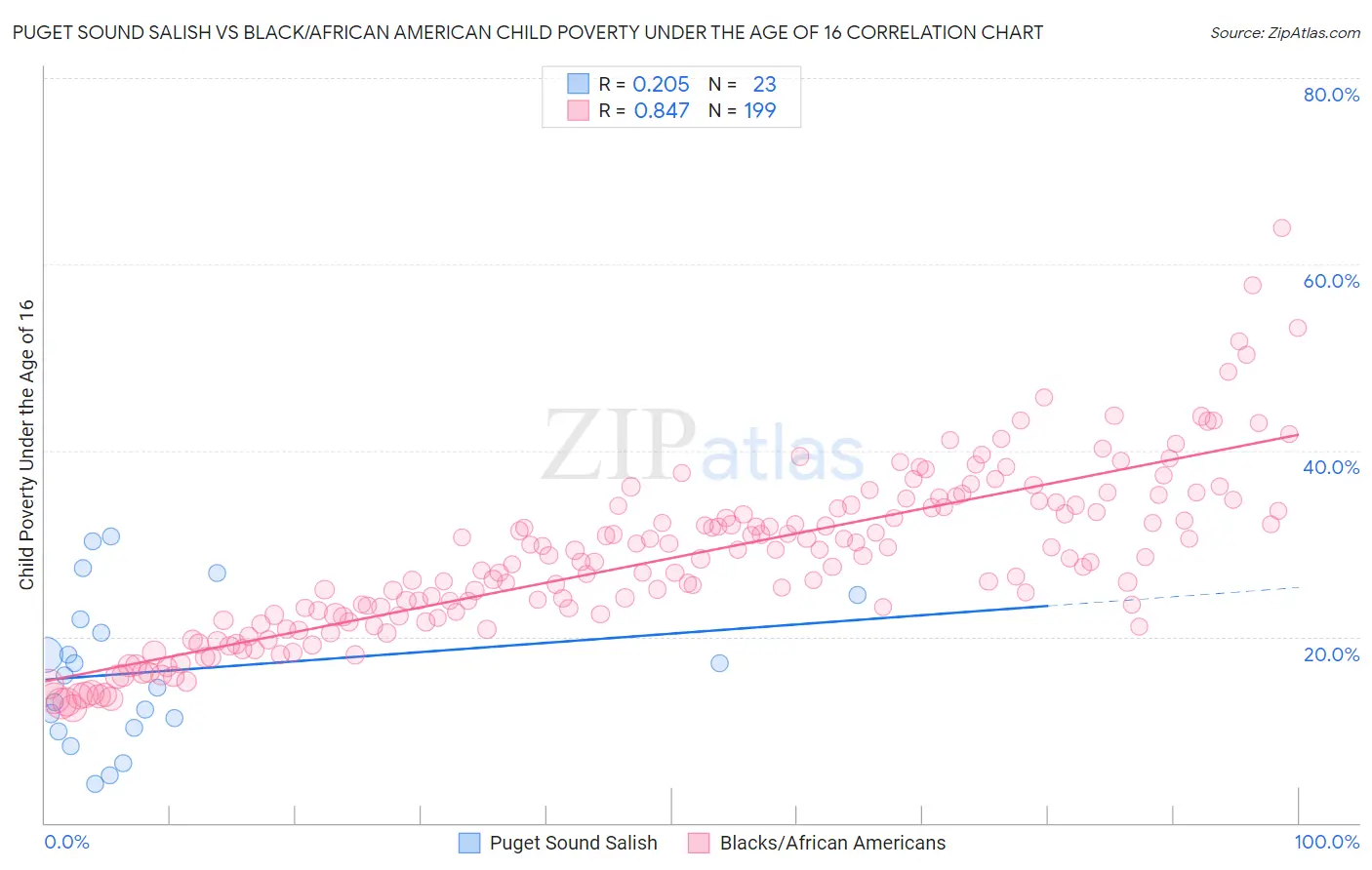 Puget Sound Salish vs Black/African American Child Poverty Under the Age of 16
