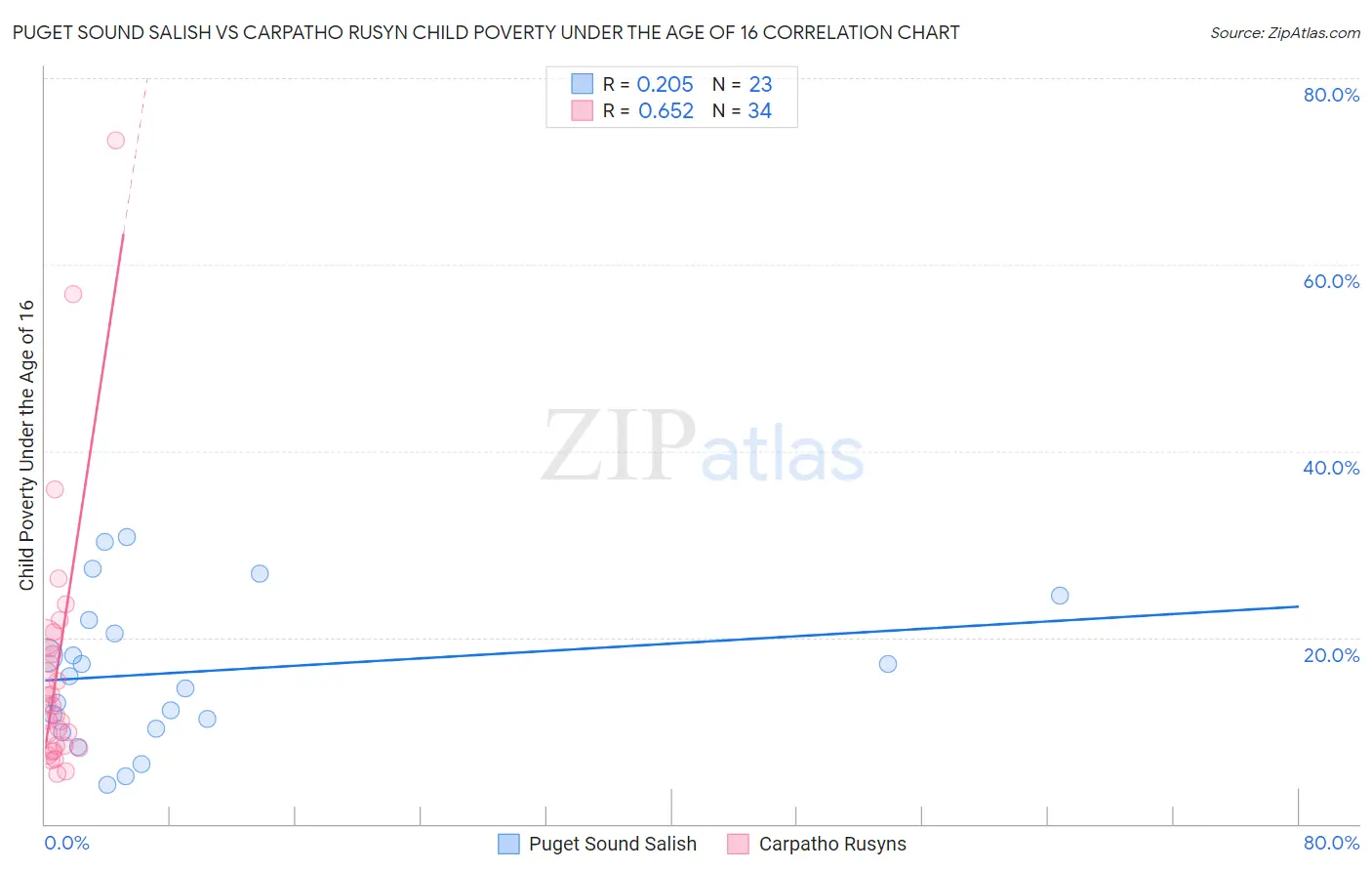 Puget Sound Salish vs Carpatho Rusyn Child Poverty Under the Age of 16