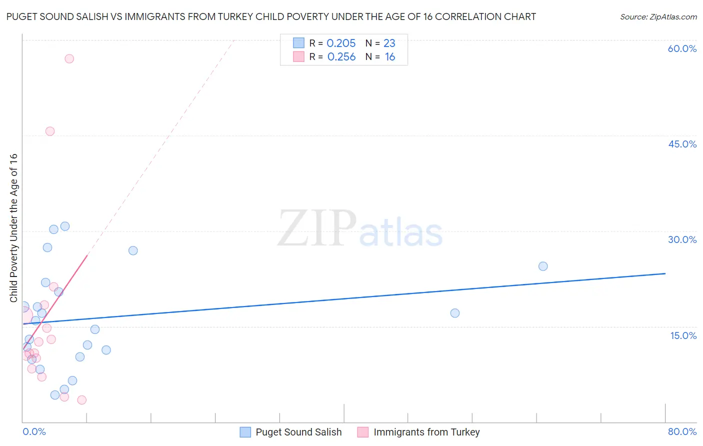 Puget Sound Salish vs Immigrants from Turkey Child Poverty Under the Age of 16