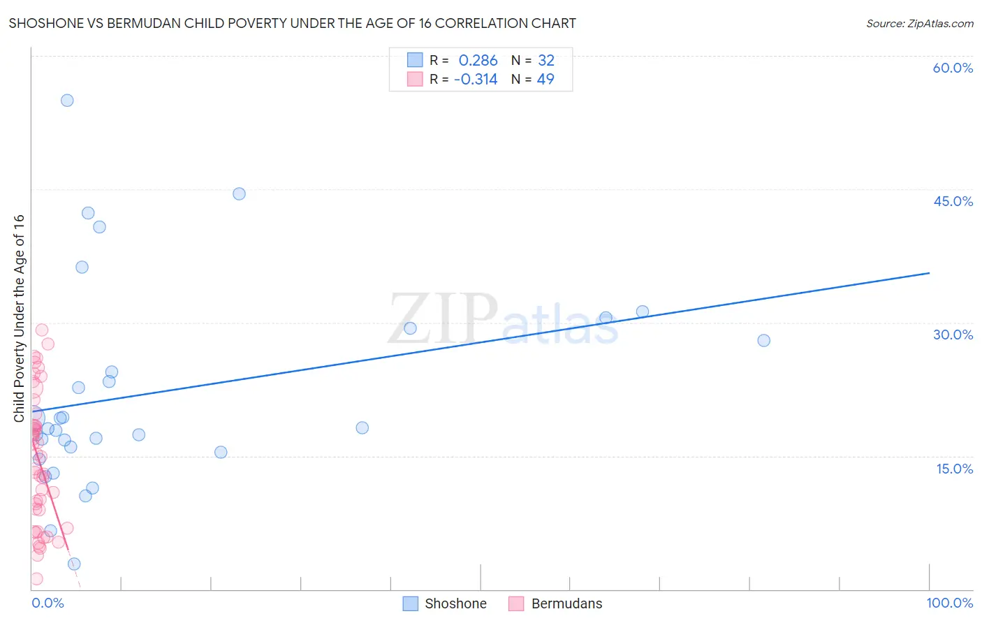 Shoshone vs Bermudan Child Poverty Under the Age of 16