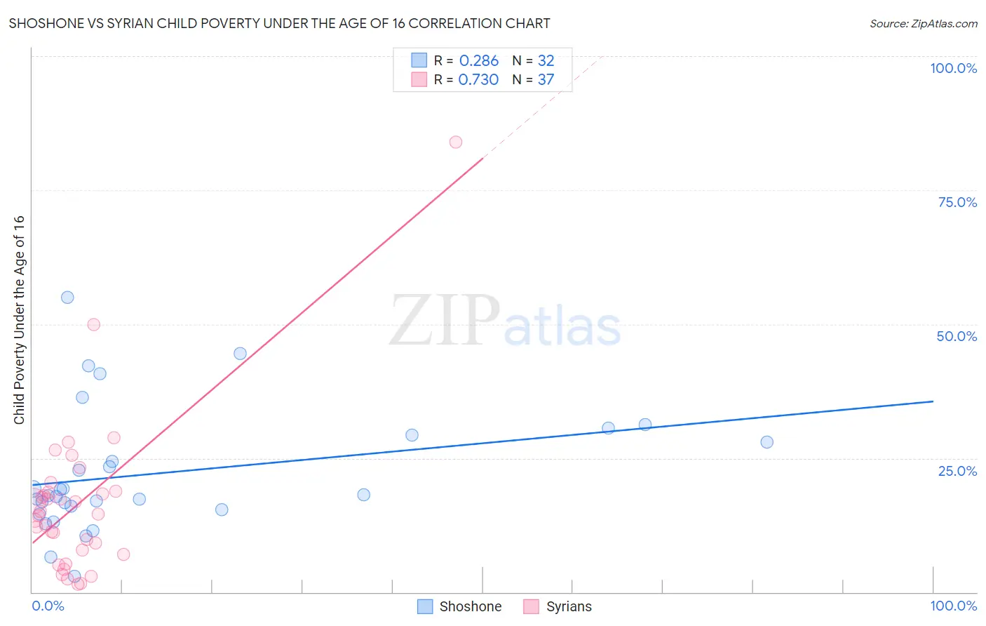 Shoshone vs Syrian Child Poverty Under the Age of 16