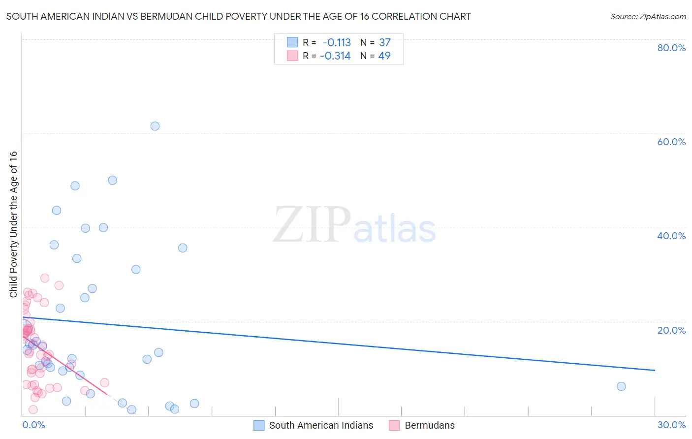 South American Indian vs Bermudan Child Poverty Under the Age of 16