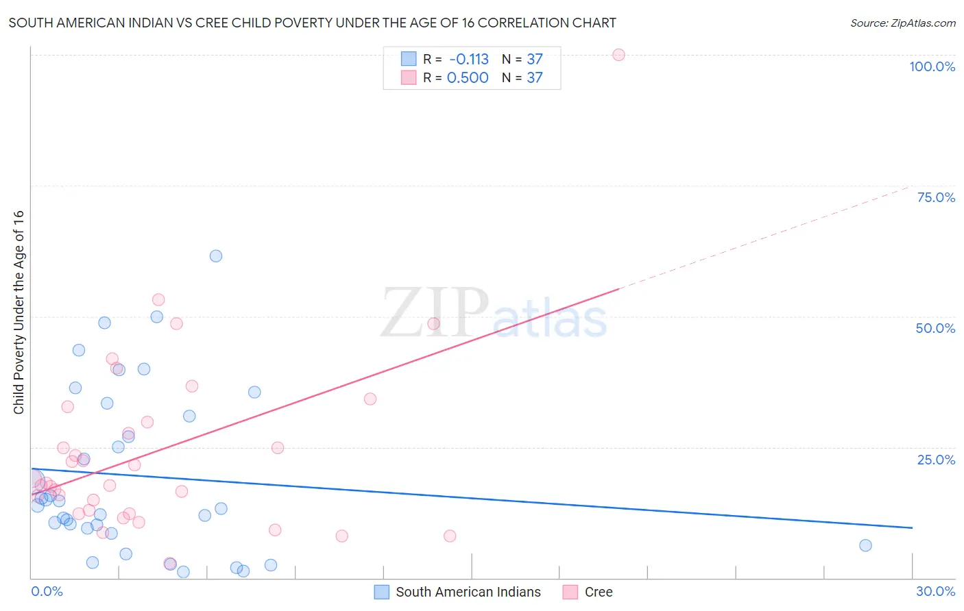 South American Indian vs Cree Child Poverty Under the Age of 16