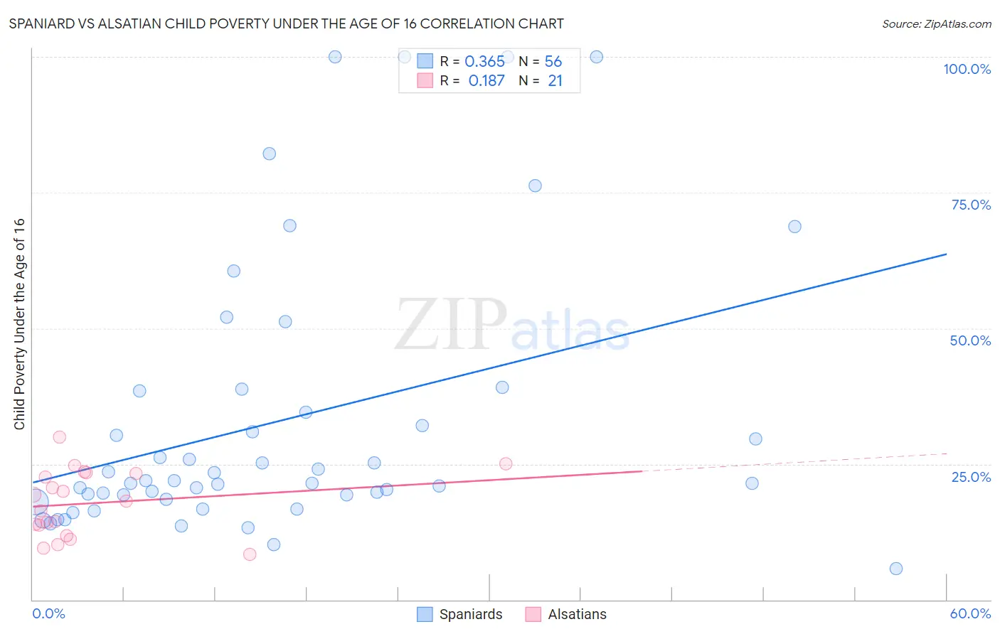 Spaniard vs Alsatian Child Poverty Under the Age of 16