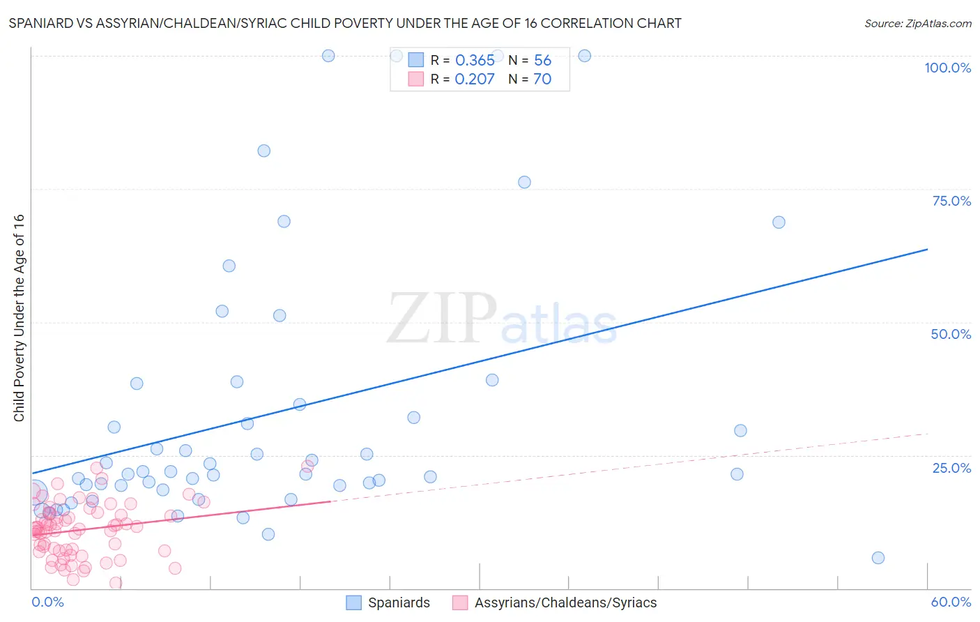 Spaniard vs Assyrian/Chaldean/Syriac Child Poverty Under the Age of 16