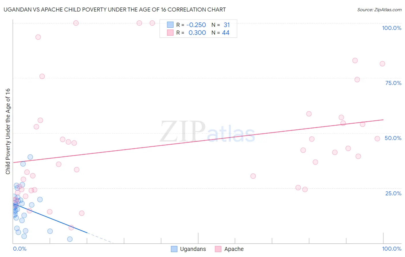 Ugandan vs Apache Child Poverty Under the Age of 16
