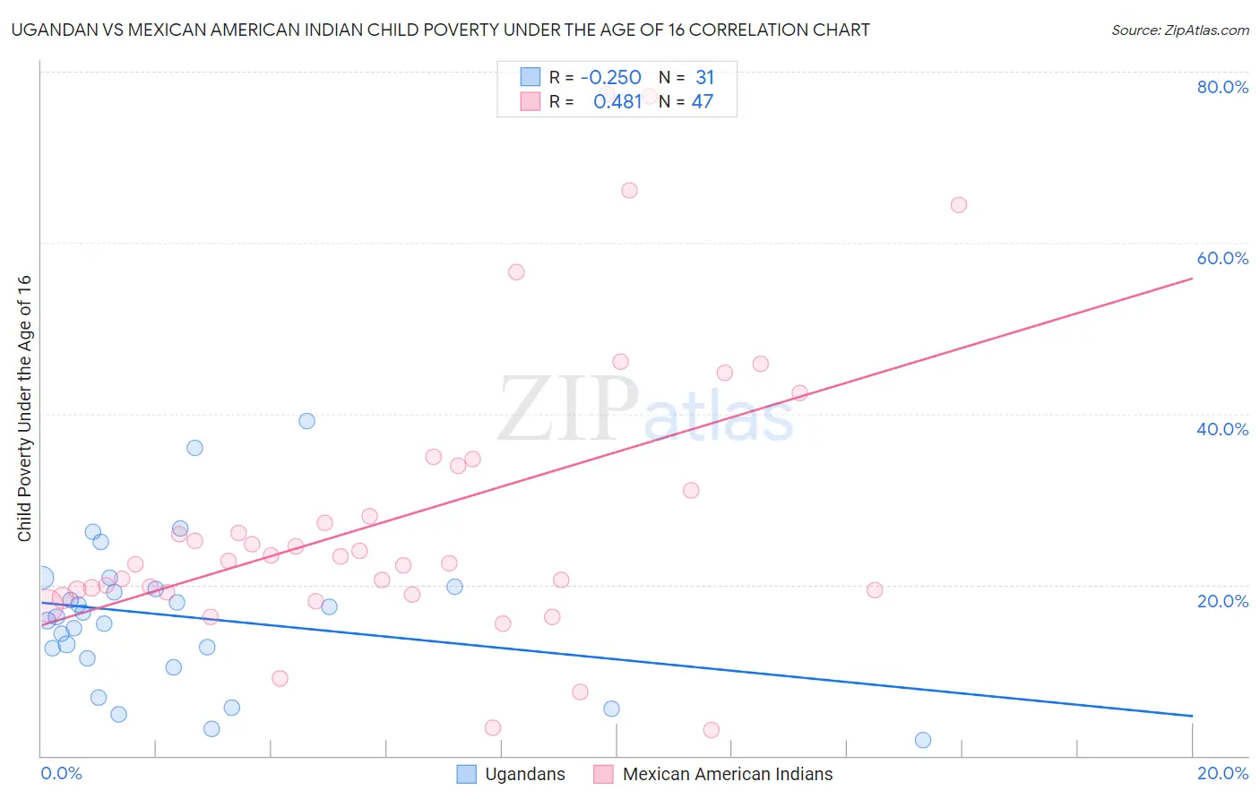 Ugandan vs Mexican American Indian Child Poverty Under the Age of 16
