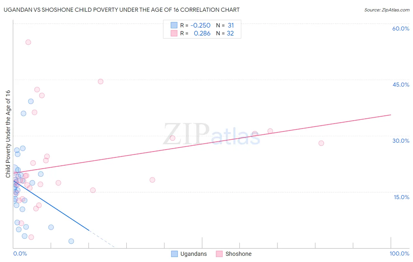 Ugandan vs Shoshone Child Poverty Under the Age of 16