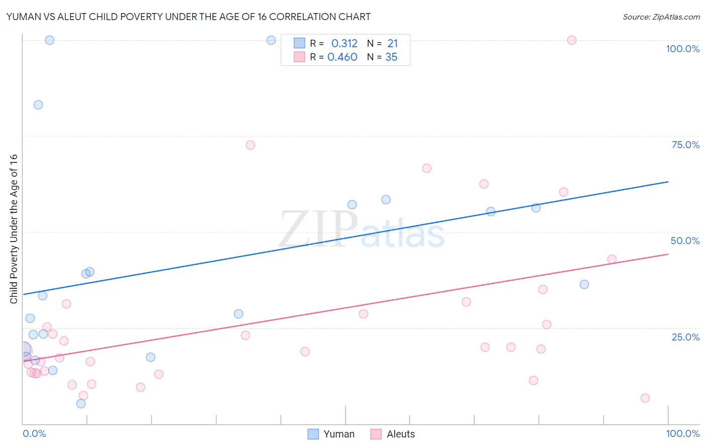 Yuman vs Aleut Child Poverty Under the Age of 16