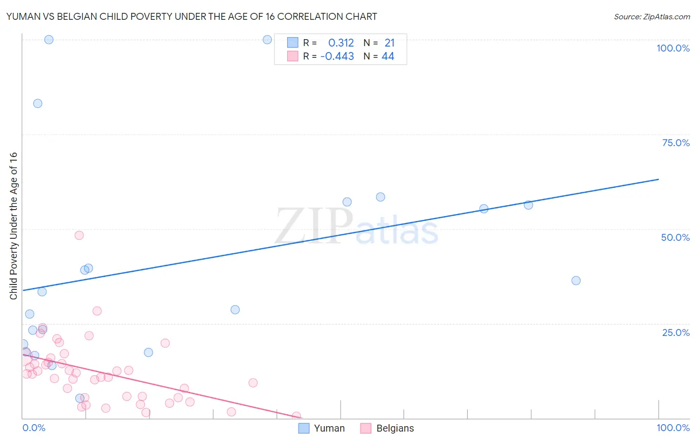 Yuman vs Belgian Child Poverty Under the Age of 16