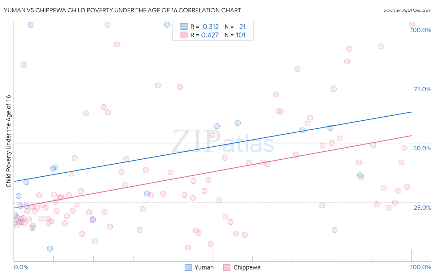 Yuman vs Chippewa Child Poverty Under the Age of 16