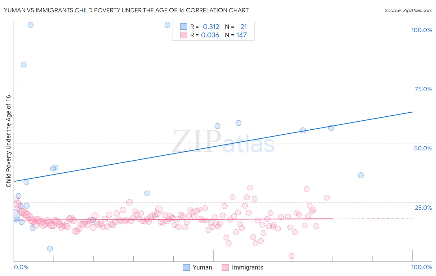 Yuman vs Immigrants Child Poverty Under the Age of 16