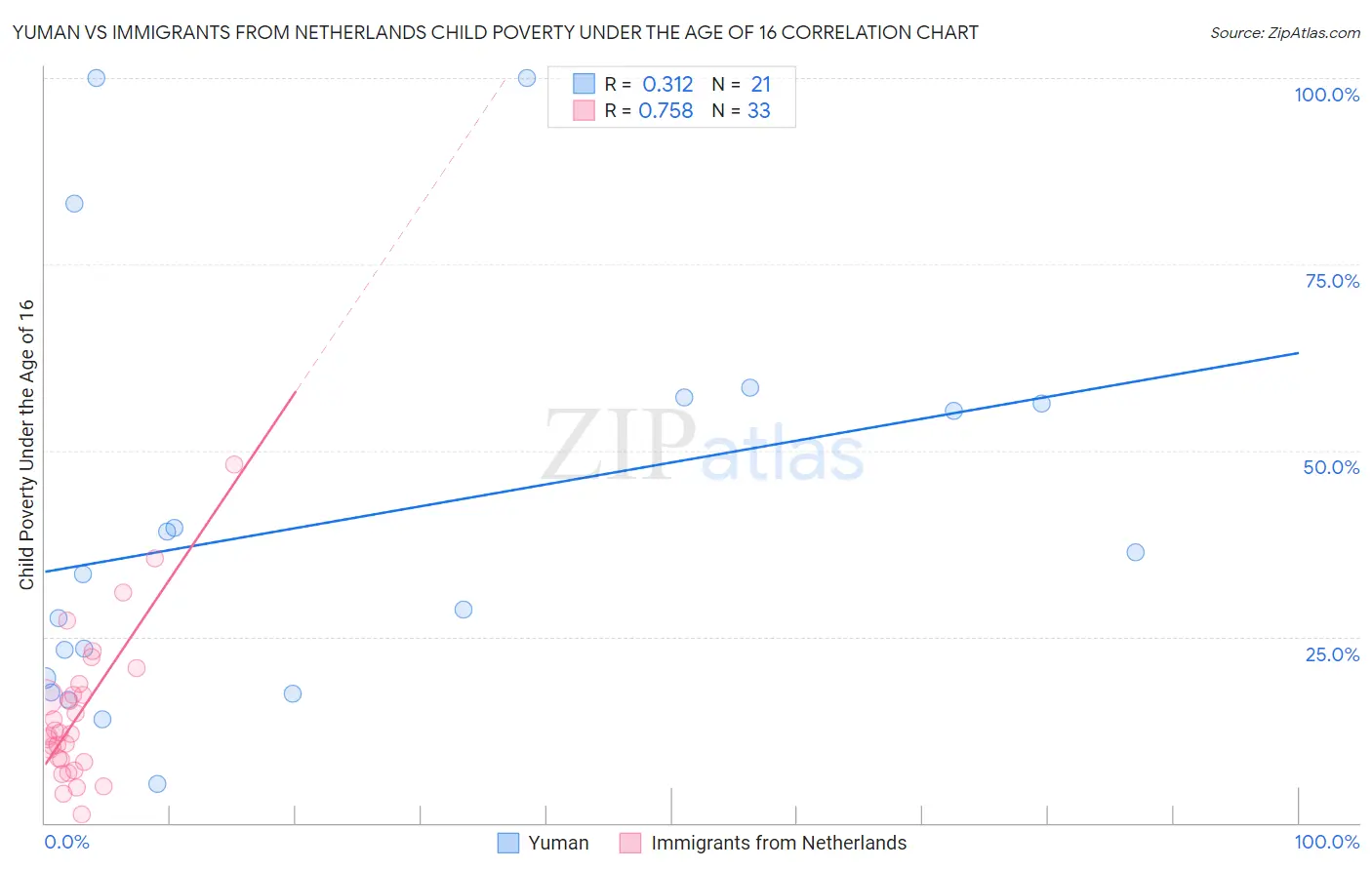 Yuman vs Immigrants from Netherlands Child Poverty Under the Age of 16