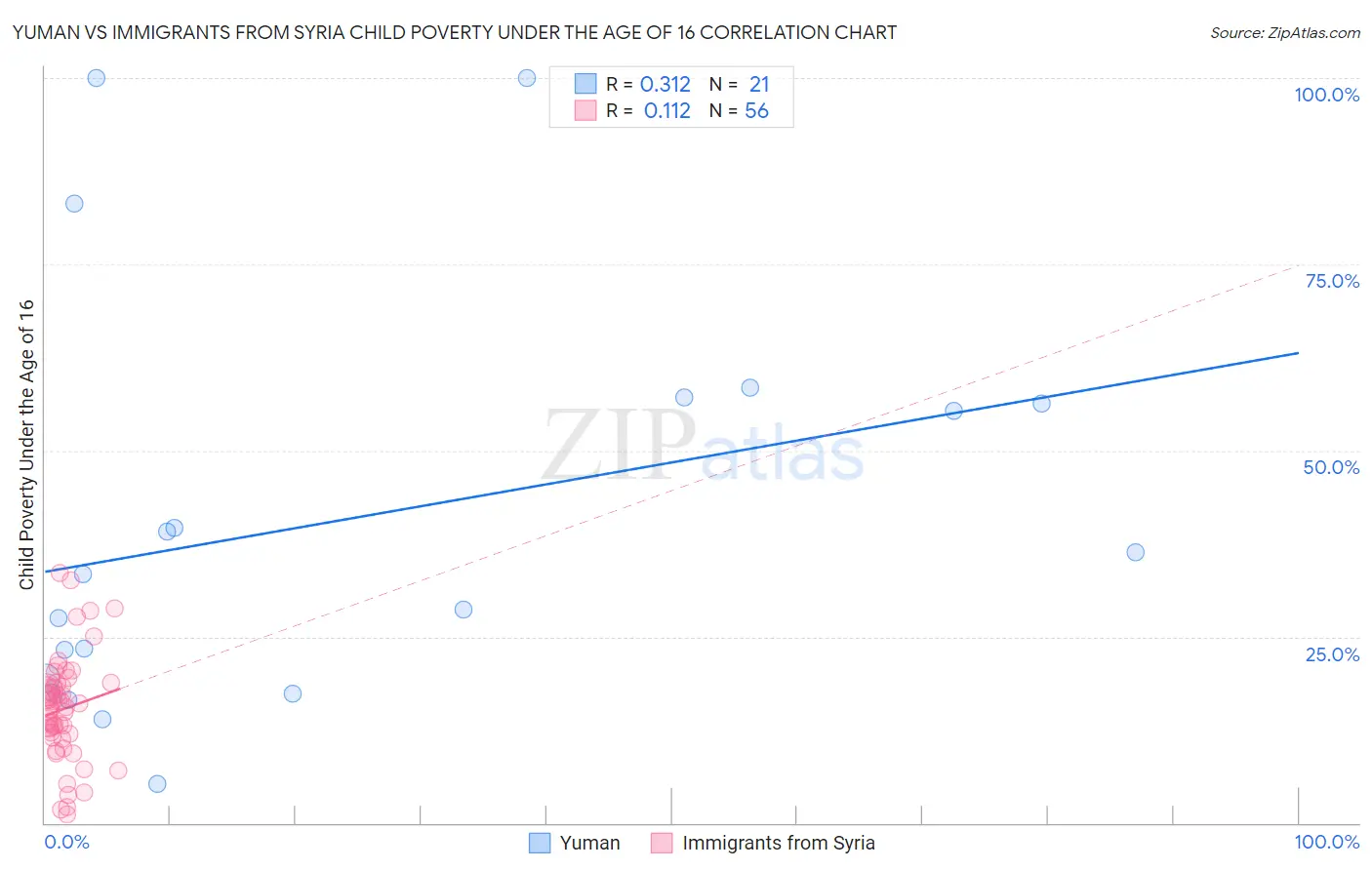 Yuman vs Immigrants from Syria Child Poverty Under the Age of 16