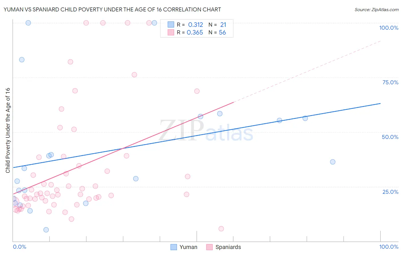 Yuman vs Spaniard Child Poverty Under the Age of 16