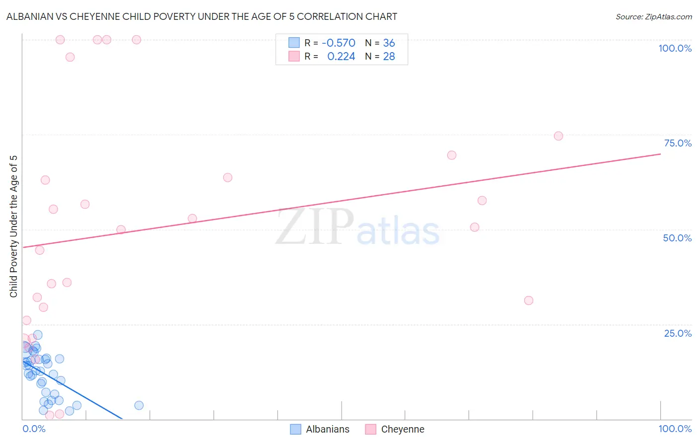 Albanian vs Cheyenne Child Poverty Under the Age of 5
