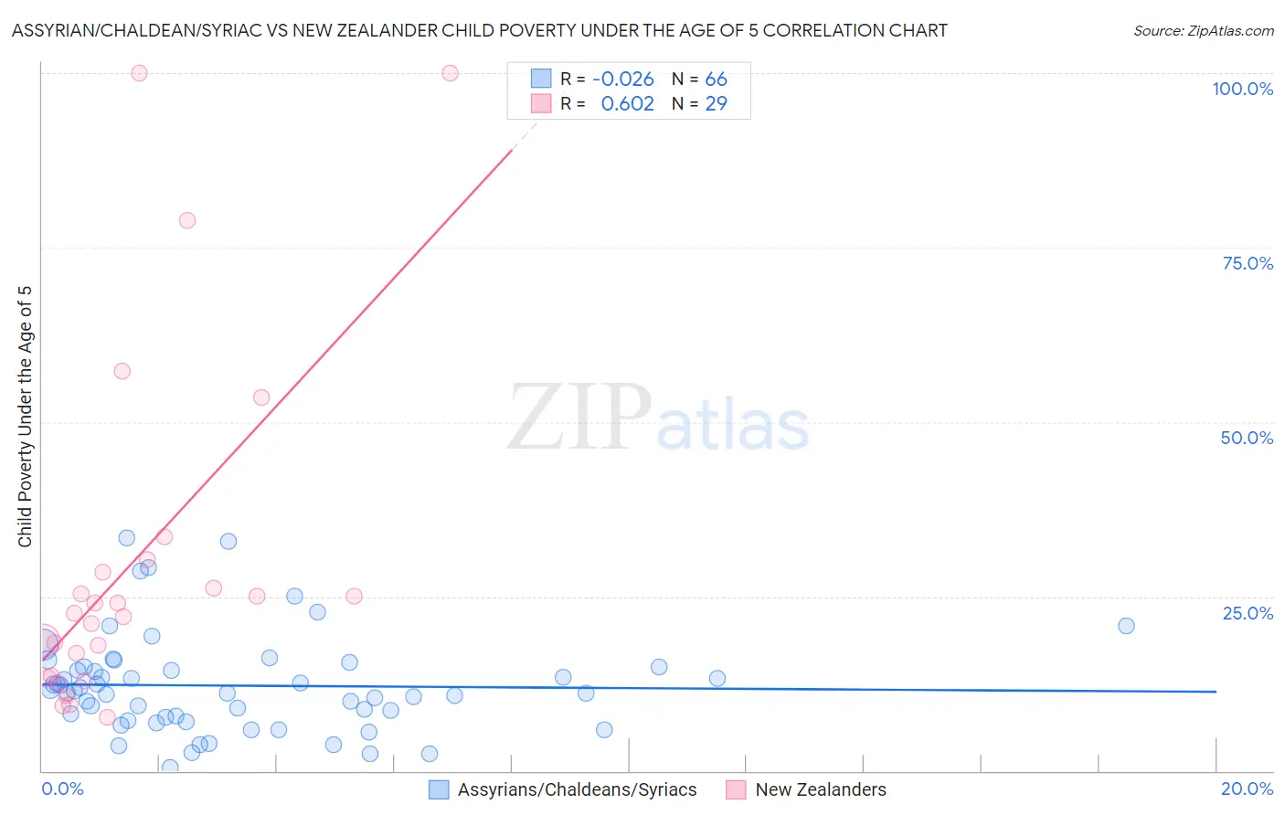 Assyrian/Chaldean/Syriac vs New Zealander Child Poverty Under the Age of 5